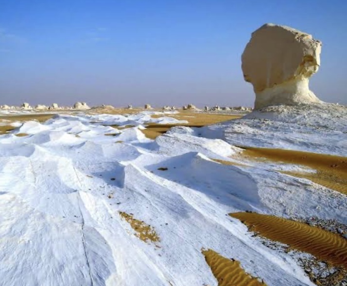 الواحات المصرية 